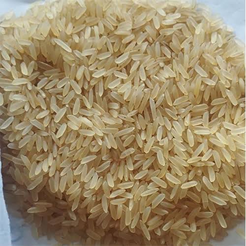 Organic rice fields in Maharashtra